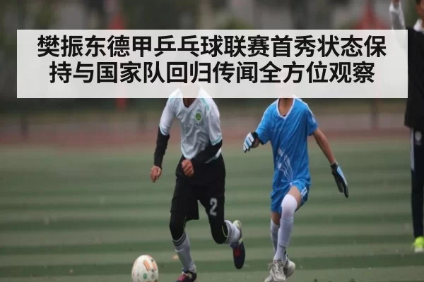 樊振东德甲乒乓球联赛首秀状态保持与国家队回归传闻全方位观察